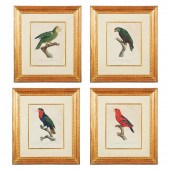 AFTER BARRABAND, FOUR PARROT E