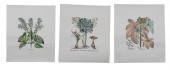AFTER BESLER, THREE EDIZIONI P
