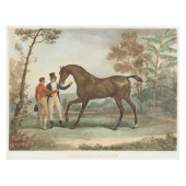 AFTER CARLE VERNET (FRENCH, 17