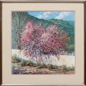 AFTER CHARLES N. PRUITT (AMERI