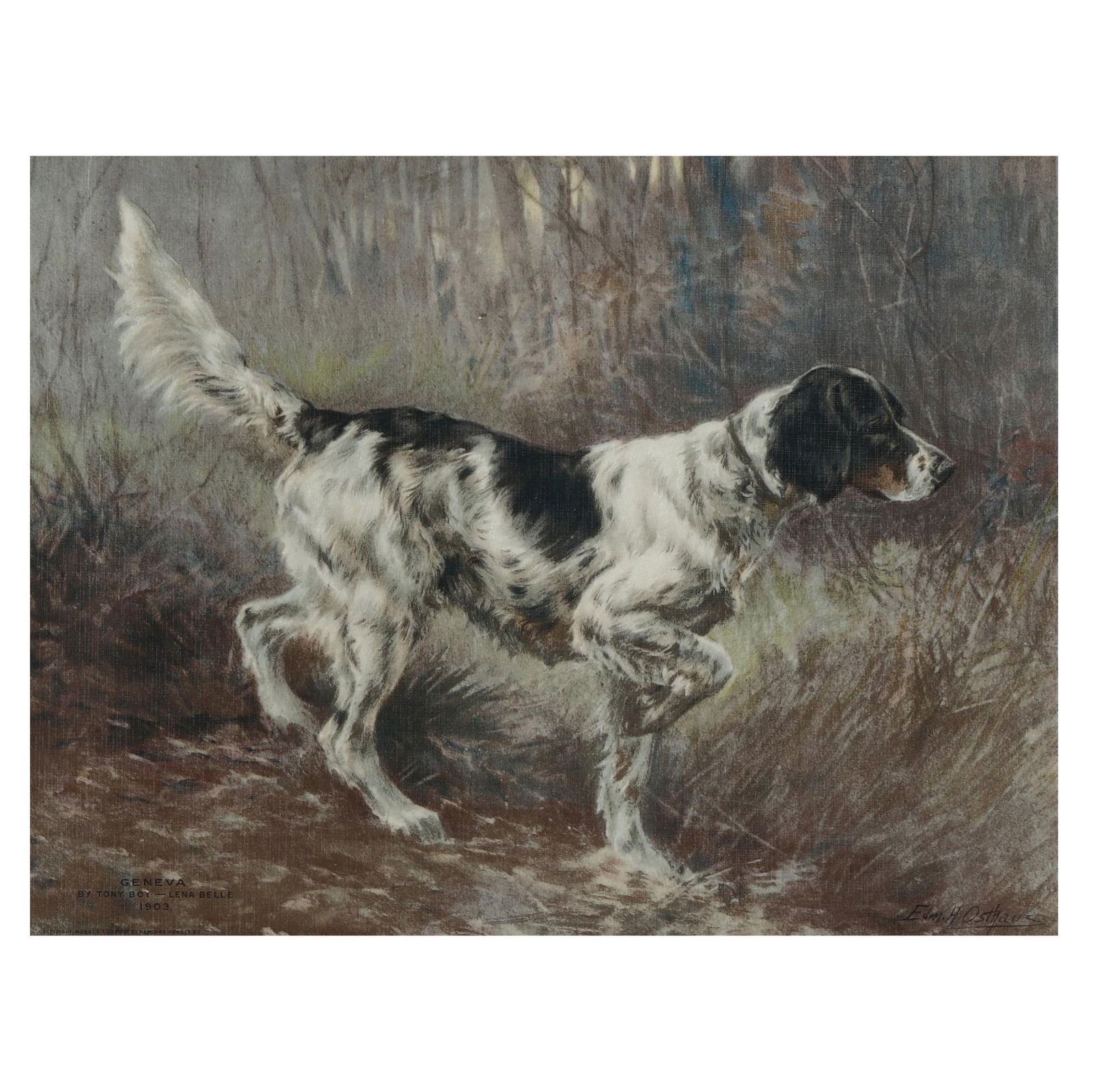 AFTER EDMUND HENRY OSTHAUS
