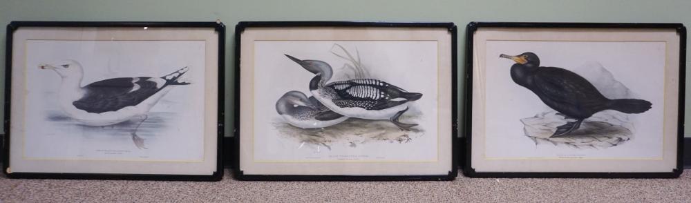 AFTER EDWARD LEAR (BRITISH