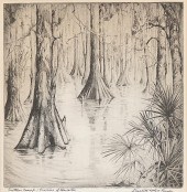 AFTER ELIZABETH O'NEILL VERNER