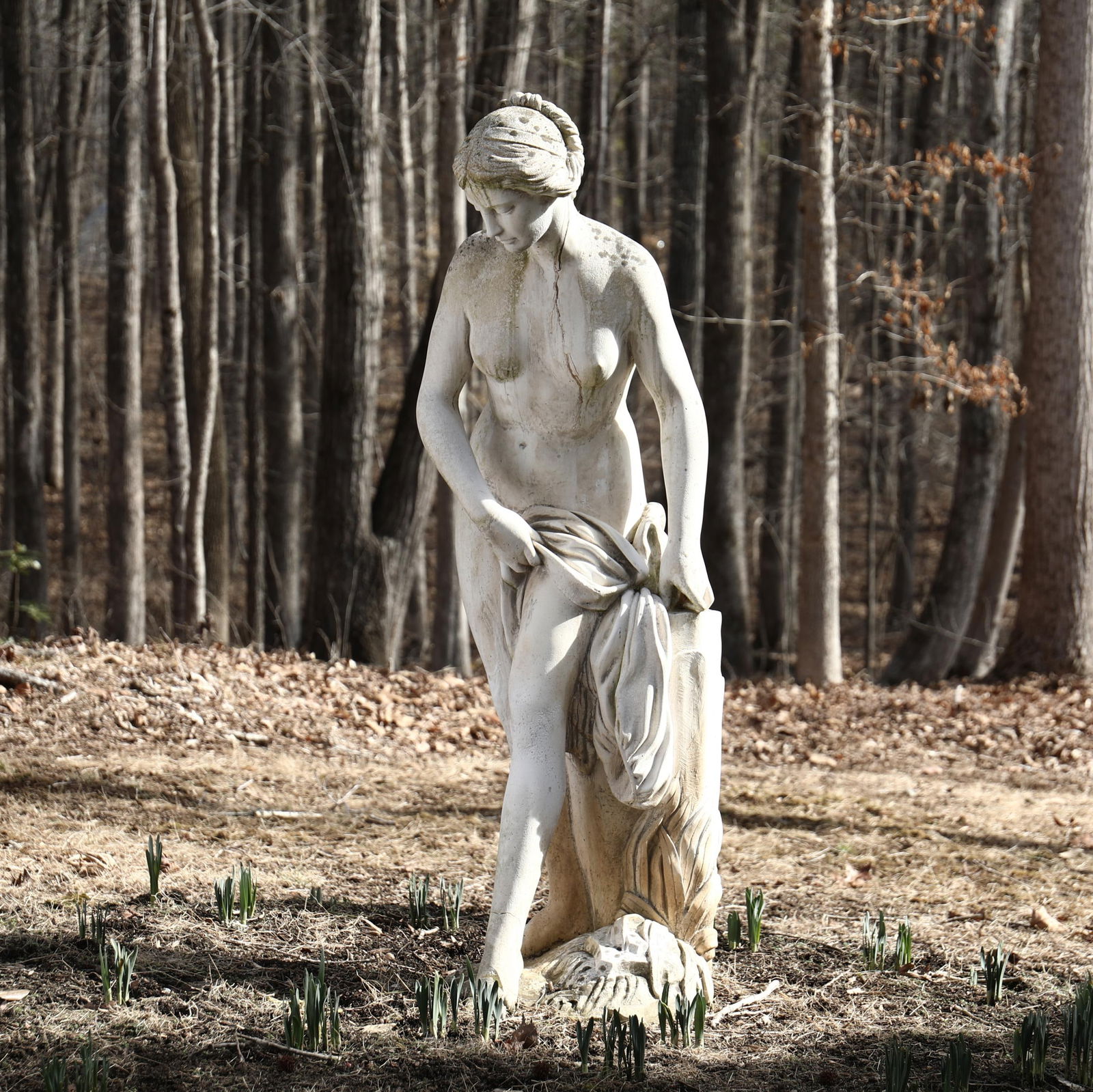 AFTER ÉTIENNE MAURICE FALCONET