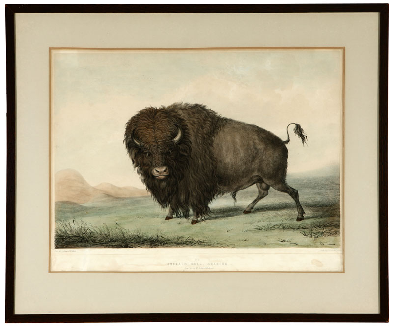 After George Catlin (1796-1872