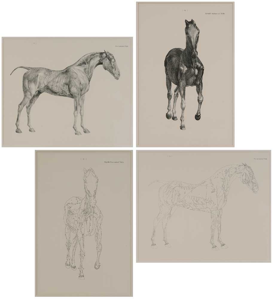 After George Stubbs (British,