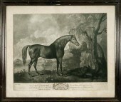 After George Stubbs BROWN HORS