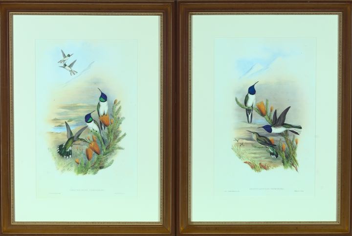 After Gould and Richter (British,