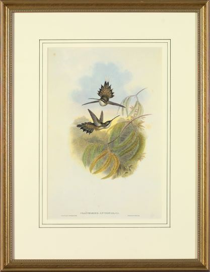 After Gould and Richter (British,