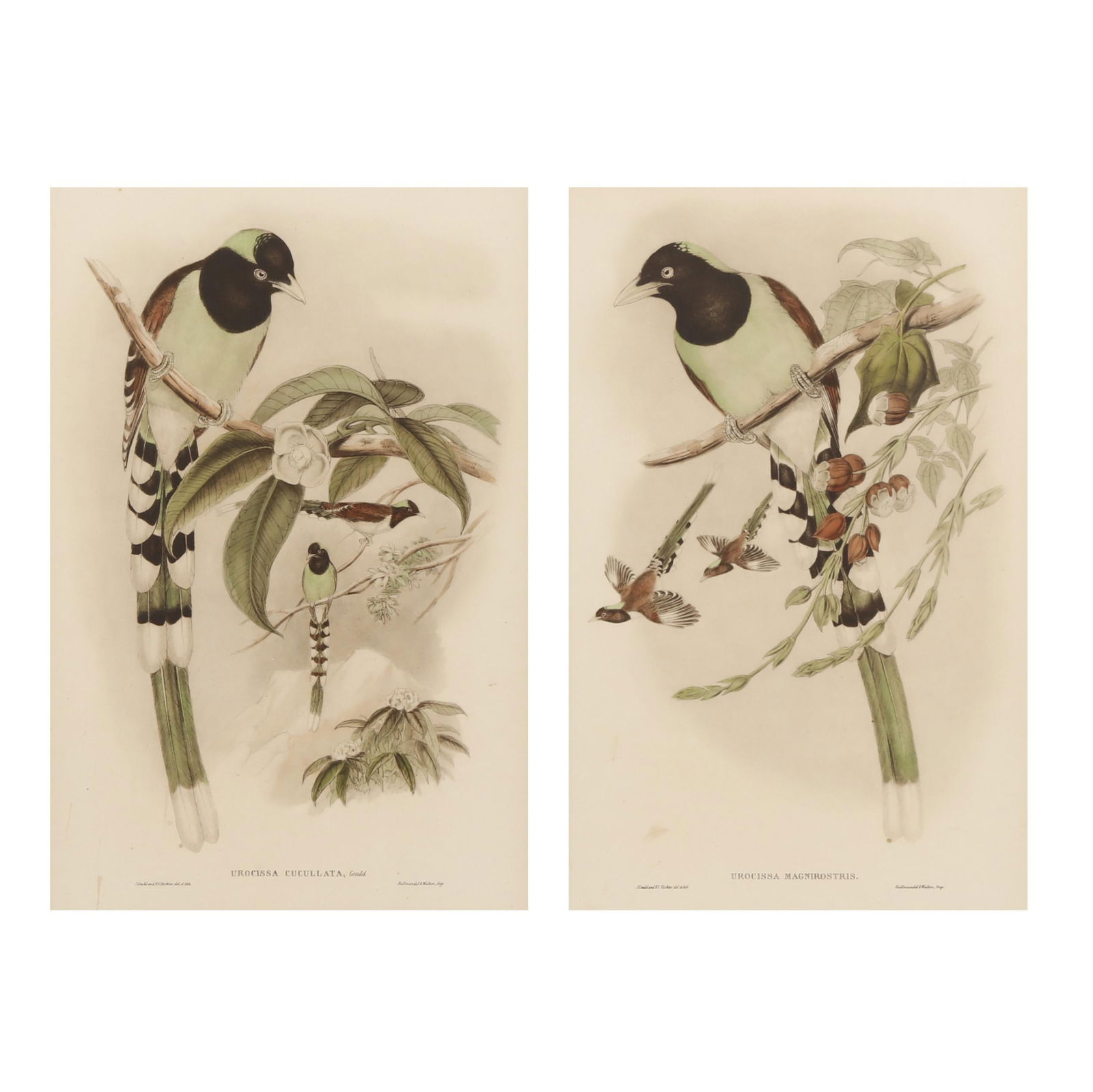 AFTER GOULD AND RICHTER, PAIR OF