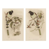 AFTER GOULD AND RICHTER, PAIR