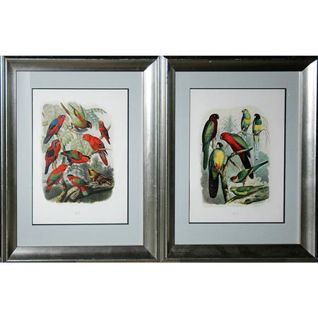 After Gustav Mutzel [PARROT
