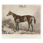AFTER HARRY HALL (ENGLISH, 181