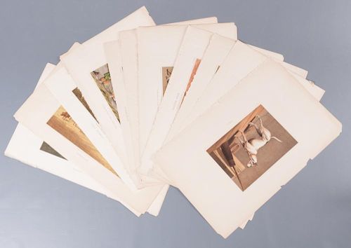 AFTER HENRY ALKEN PRINTS, SIXTEEN