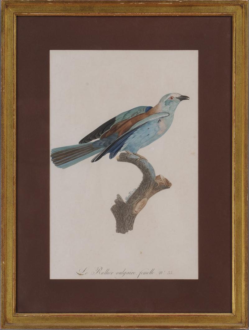 AFTER JACQUES BARRABAND: SIX BIRD