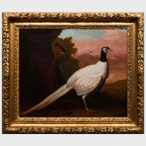 AFTER JAKOB BOGDANI (1660-1724):