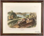 AFTER JAMES J. AUDUBON, MUS LE