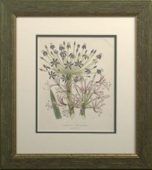 After Jane Webb Loudon (Britis