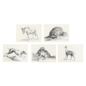 AFTER JEAN-BAPTISTE OUDRY (FRE