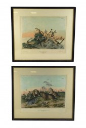 AFTER J.J. AUDUBON, TWO FRAMED