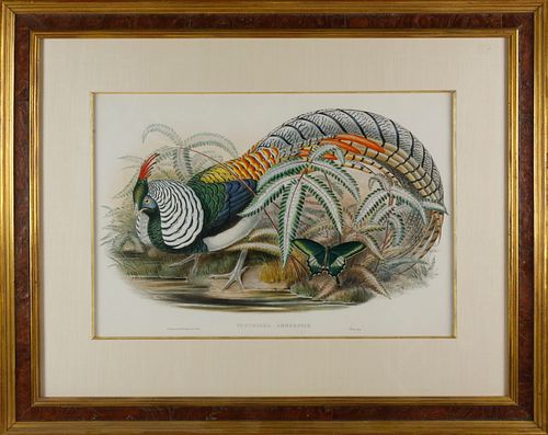 AFTER JOHN GOULD AND H.C. RICHTER