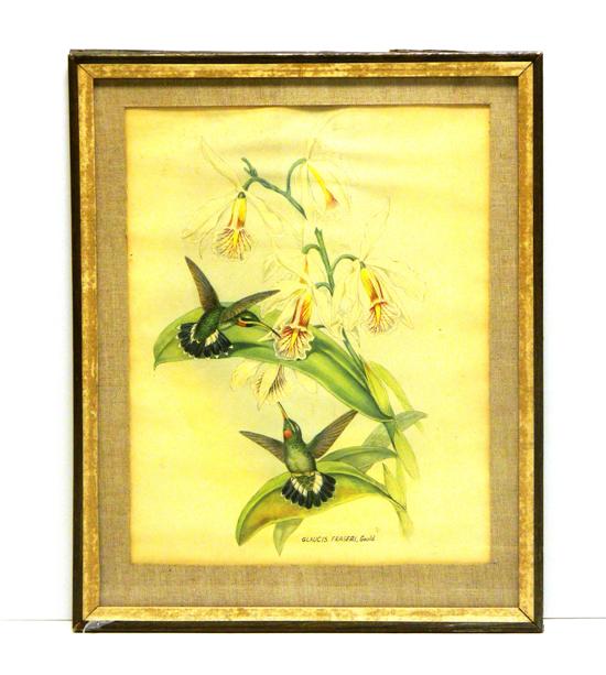 After John Gould (English 