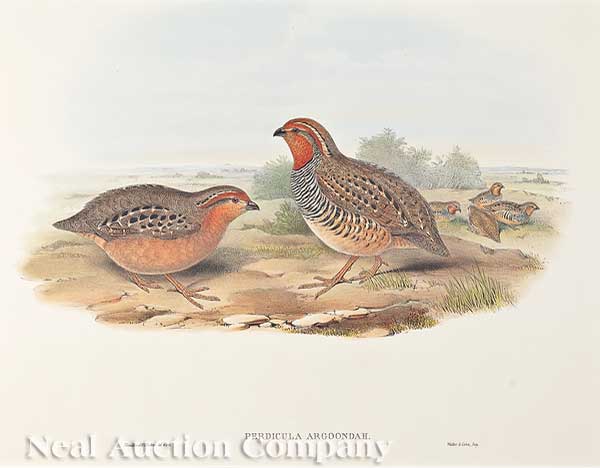 After John J. Gould (British