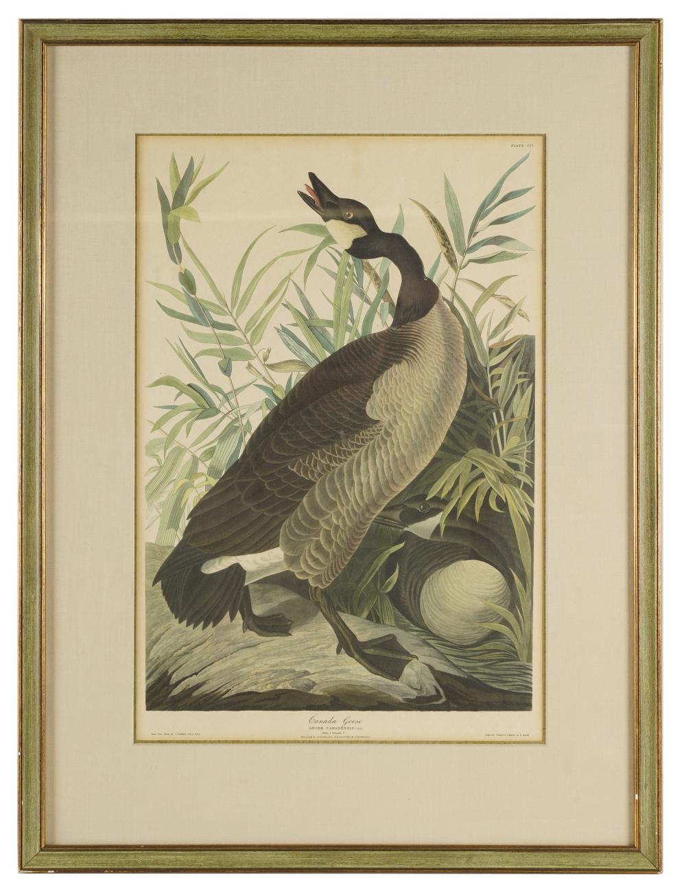 AFTER JOHN JAMES AUDUBON (1785 -