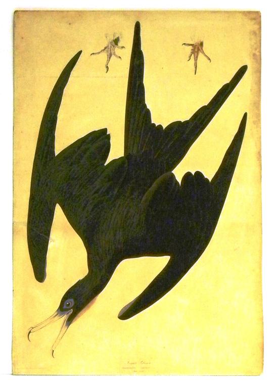 After John James Audubon