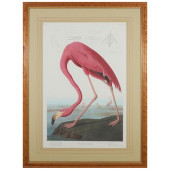 AFTER JOHN JAMES AUDUBON (1785