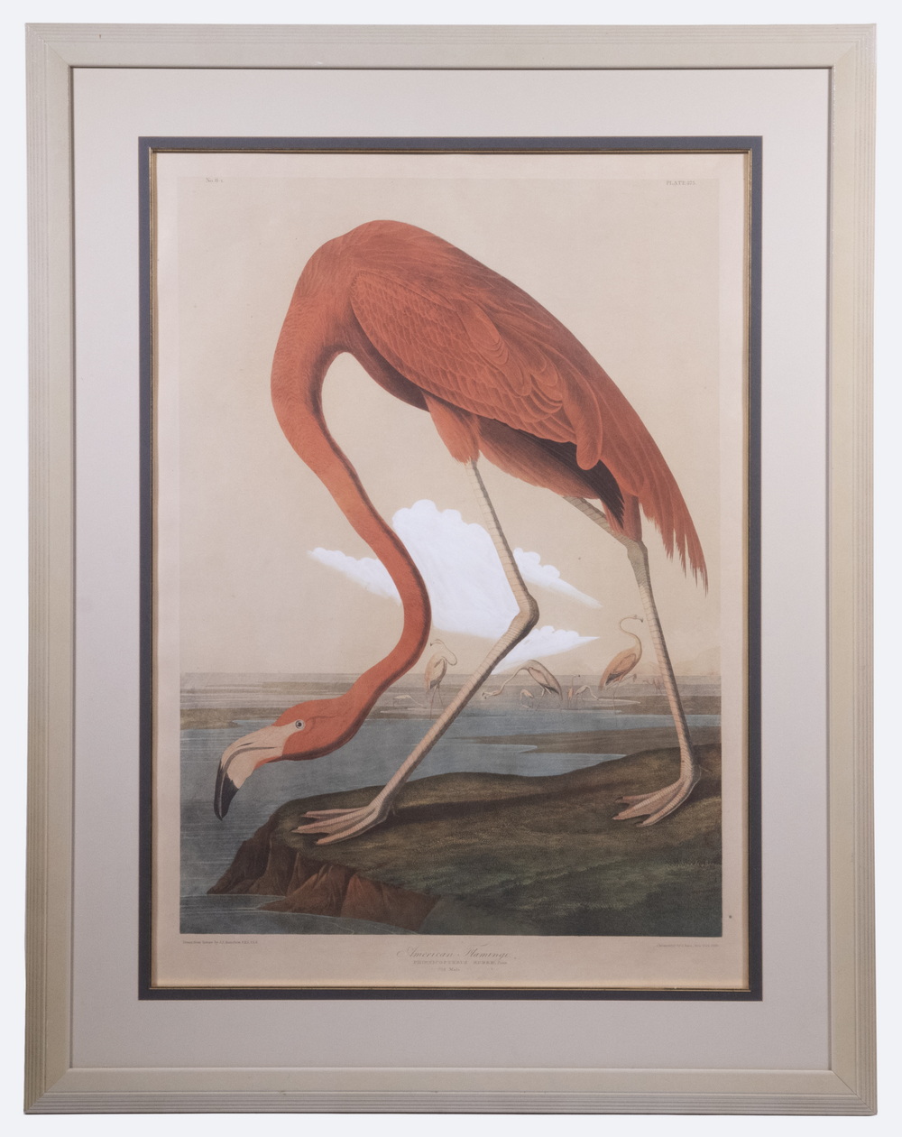 AFTER JOHN JAMES AUDUBON