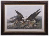 AFTER JOHN JAMES AUDUBON (1785