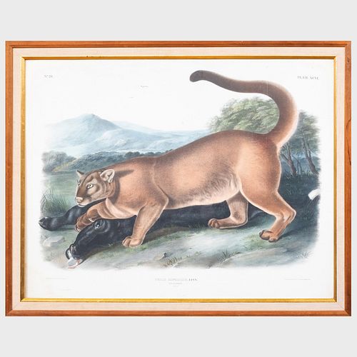 AFTER JOHN JAMES AUDUBON