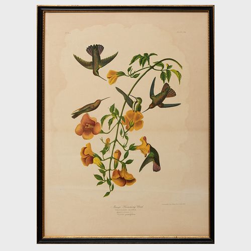 AFTER JOHN JAMES AUDUBON