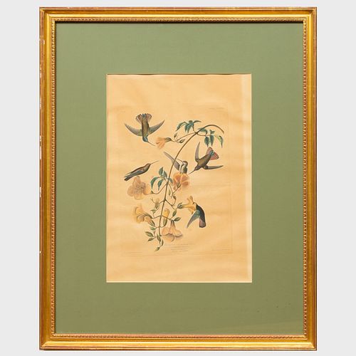 AFTER JOHN JAMES AUDUBON