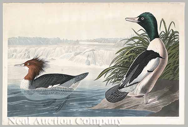 After John James Audubon