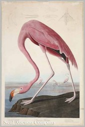 After John James Audubon (Amer