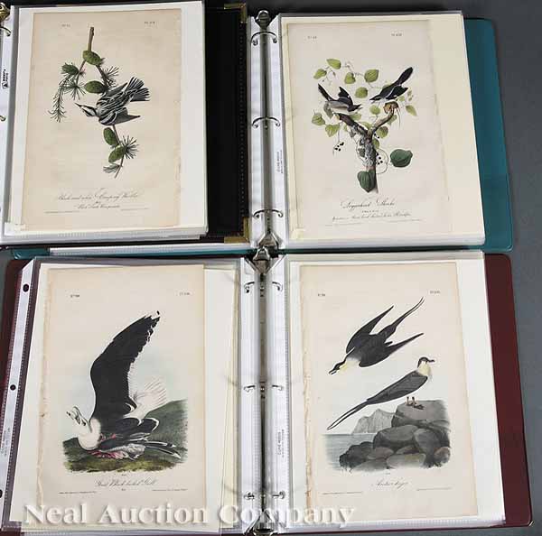 After John James Audubon