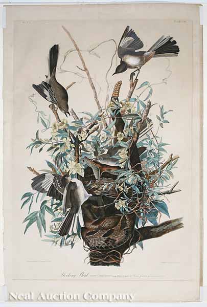 After John James Audubon