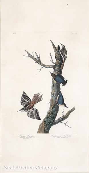 After John James Audubon