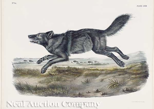 After John James Audubon