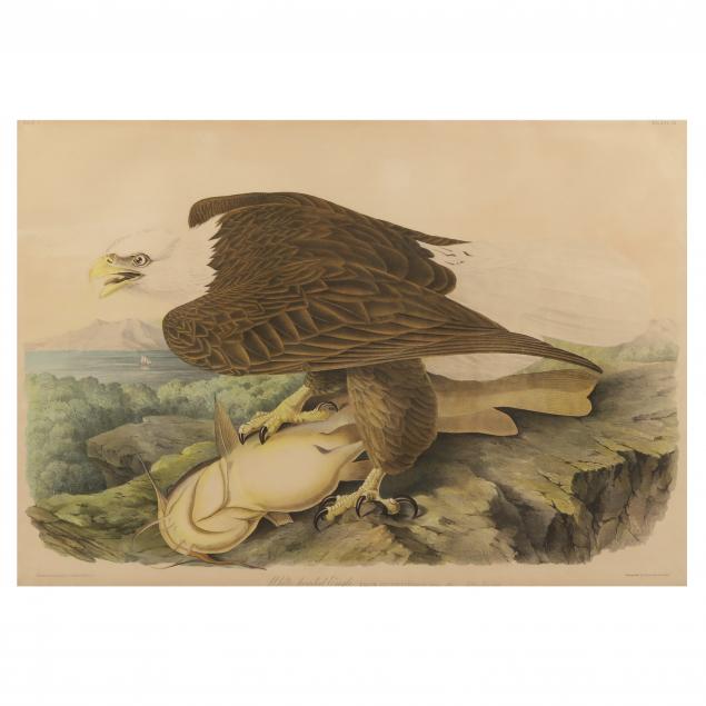 AFTER JOHN JAMES AUDUBON (AMERICAN,