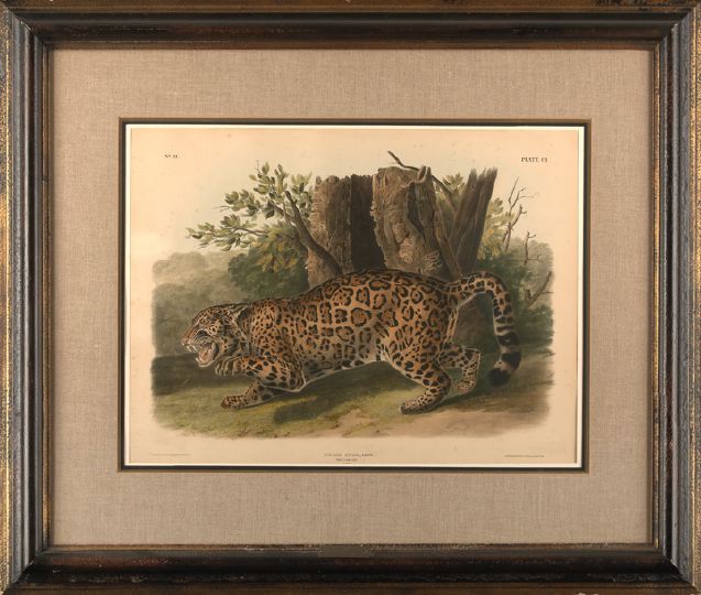 After John James Audubon (American,