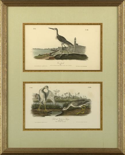 After John James Audubon (American,