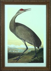After John James Audubon (Amer