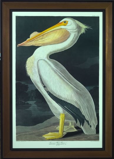 After John James Audubon (American,