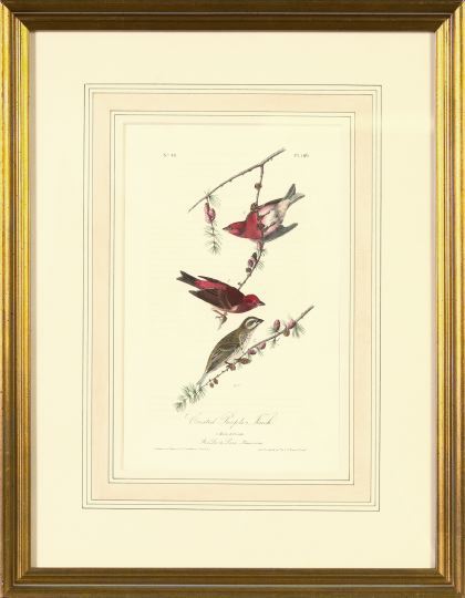After John James Audubon (American,