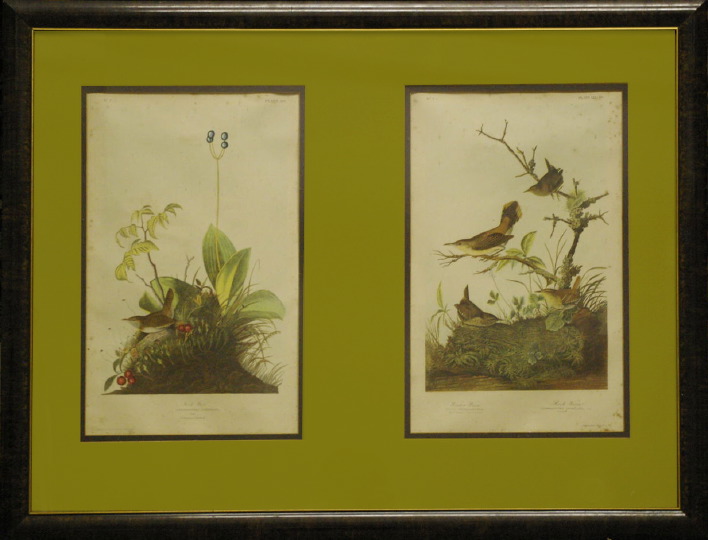 After John James Audubon (American,
