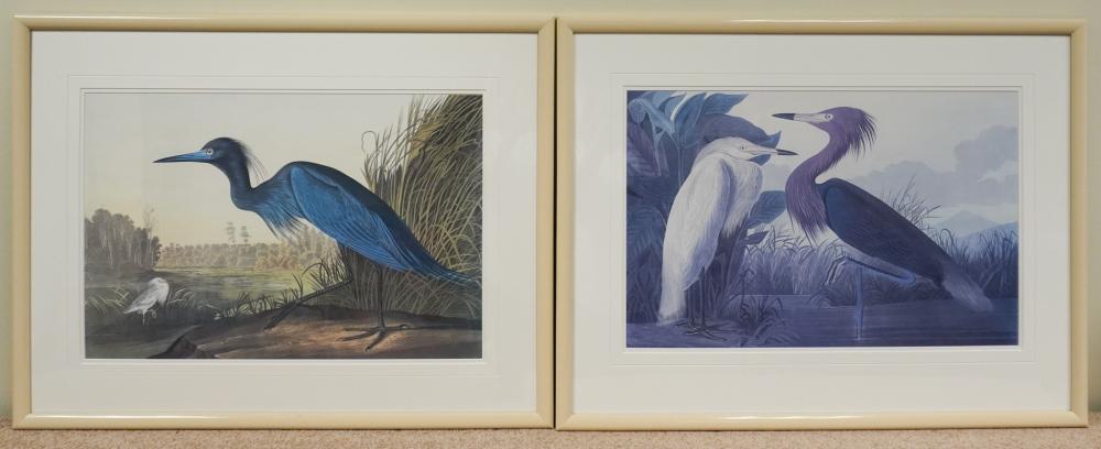 AFTER JOHN JAMES AUDUBON