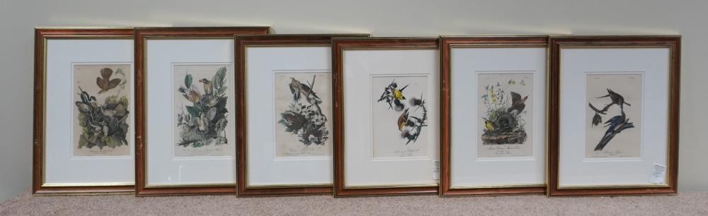 AFTER JOHN JAMES AUDUBON